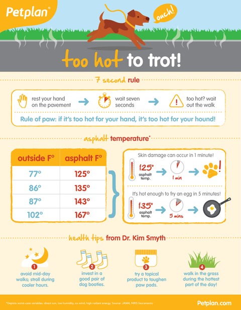 Asphalt Temperatures for Dogs, Warm Weather Safety Tips for Pets