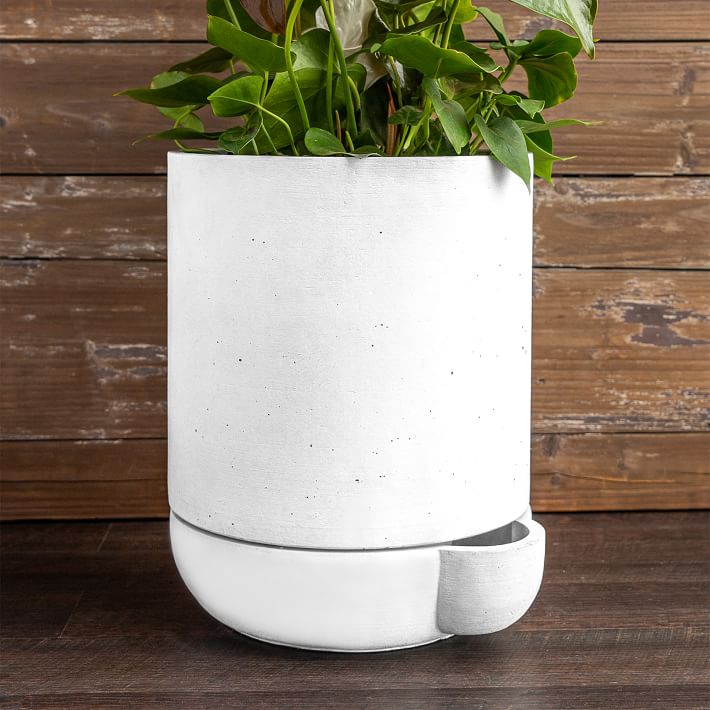 Self-Watering Planter