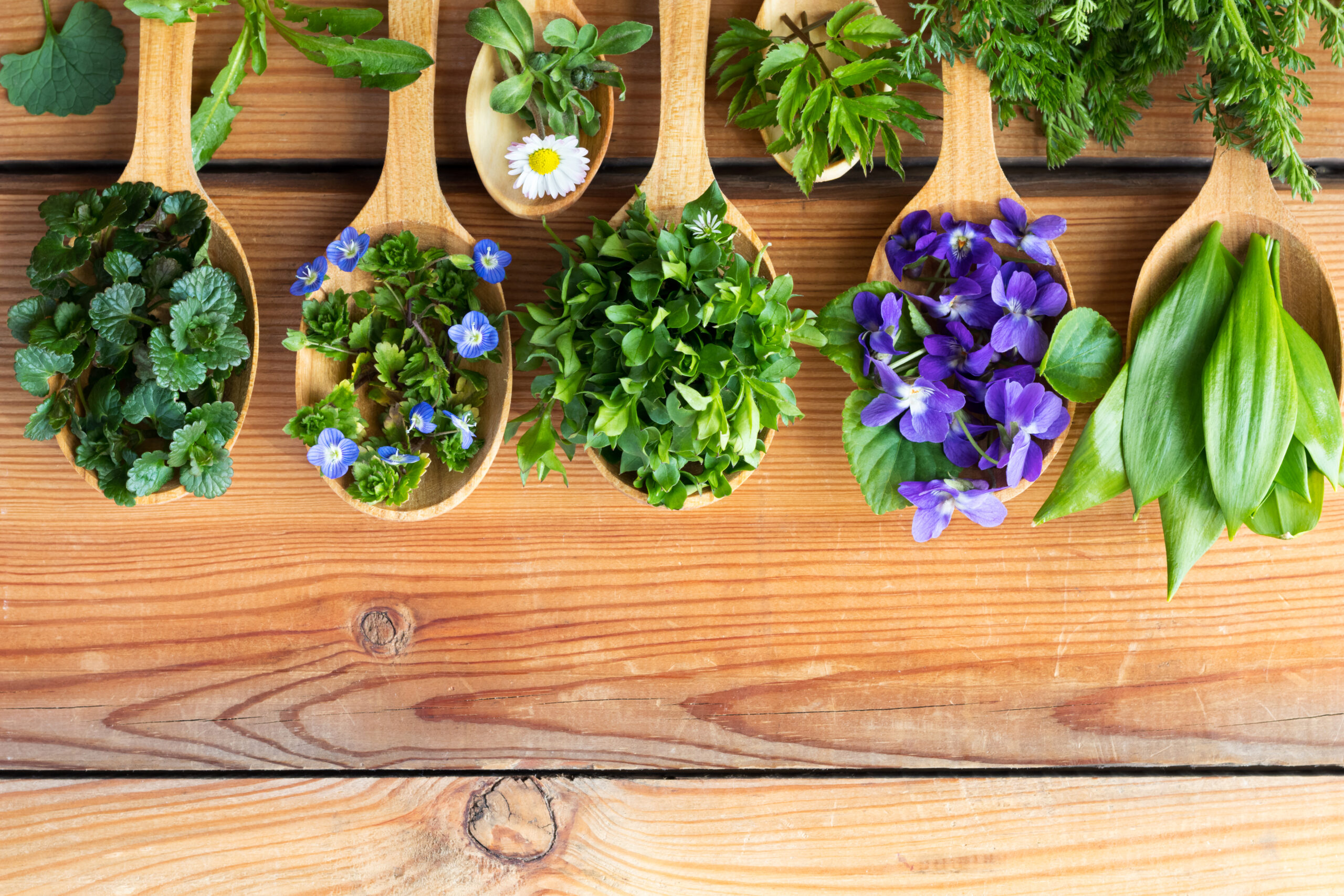 Edible Flowers