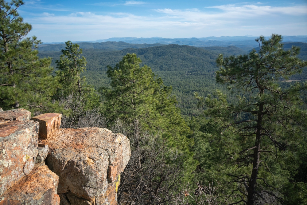 Mogollon Rim, Tonto National Forest, Pine Tree Forest Mountain Landscape Views, Red Rocks - Payson Arizona