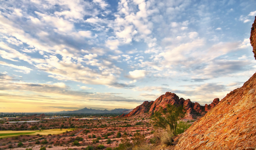 Scottsdale Branch