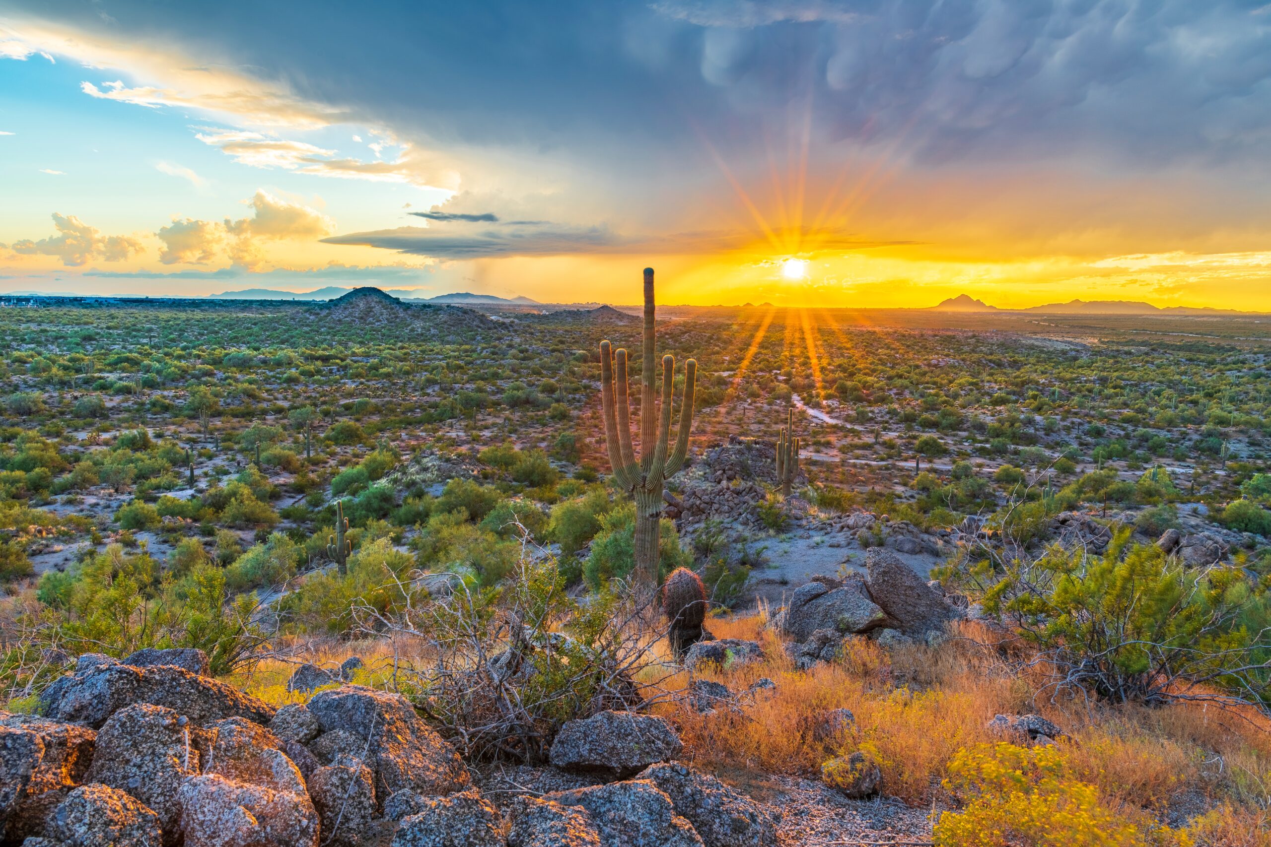 Arizona Desert