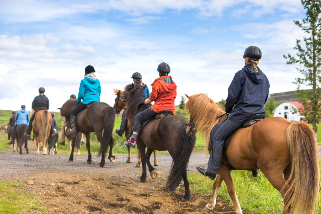 Ways to stay active and enjoy the Fall weather- Horse back riding