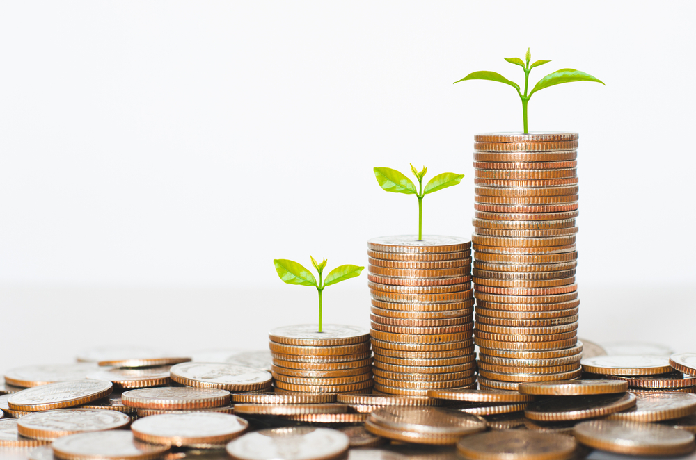 coin stack money saving concept. green leaf plant growth on rows of coin on white background.