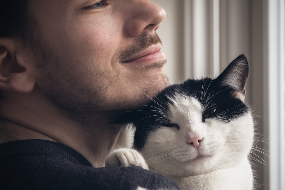 Closeup of a black and white cat cuddled by a beard man