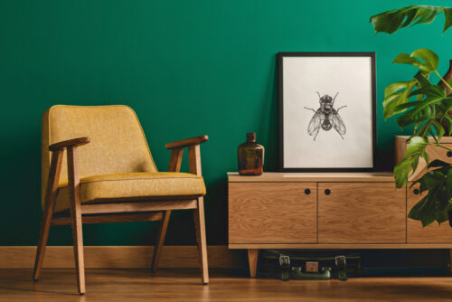 Classy minimalist living room interior with a framed insect poster on a wooden dresser, yellow armchair and monstera plant