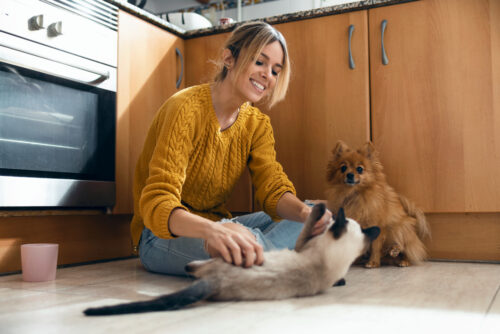 young woman playing with her cute lovely animals sitting on the floor in the kitchen at home.