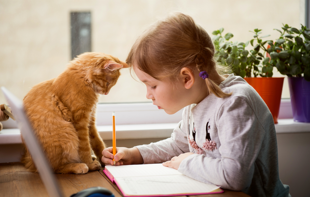 Child girl make homework with pet cat. Funny ginger kitten sitting on table where kid is writing. Back to school.