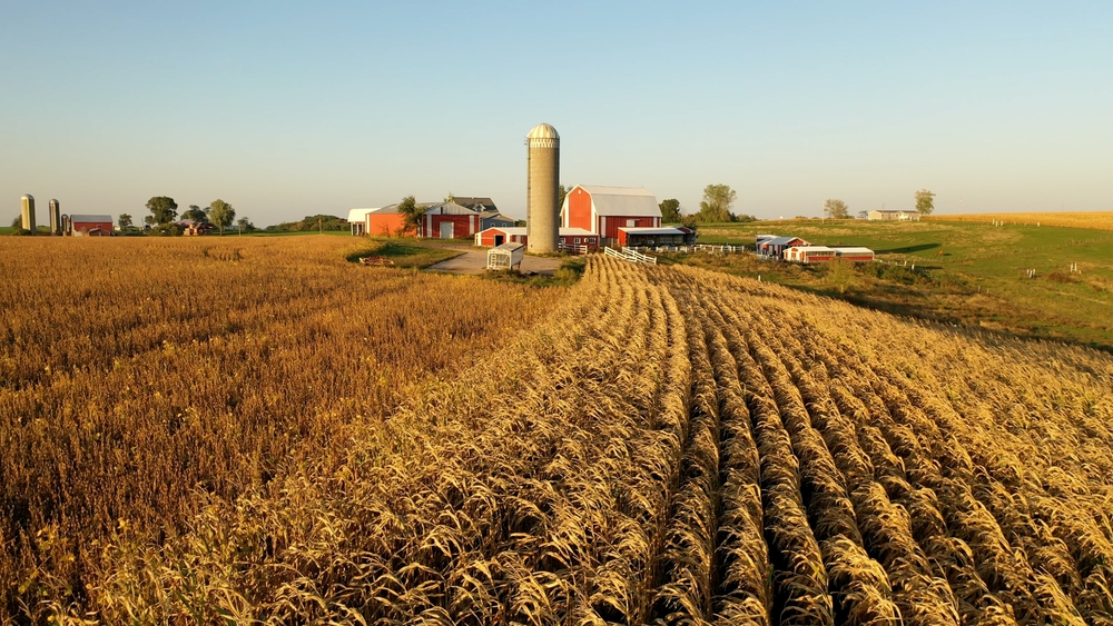 Aerial view of the Midwest USA in autumn. Rural landscape, countryside. Farmland, Agriculture field