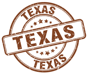 Texas Badge